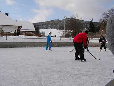 hokej 2010