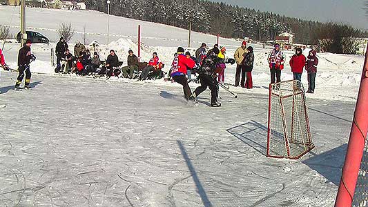 hokej 2012