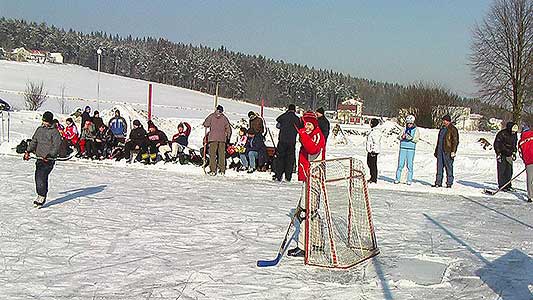 hokej 2012
